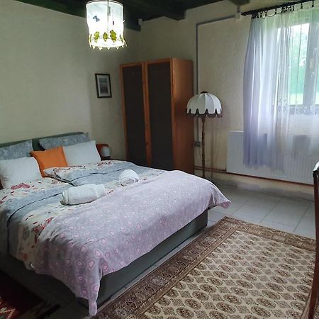 Etno Salas - Etno Ranch - Seosko Turisticko Domacinstvo Villa Palić Esterno foto