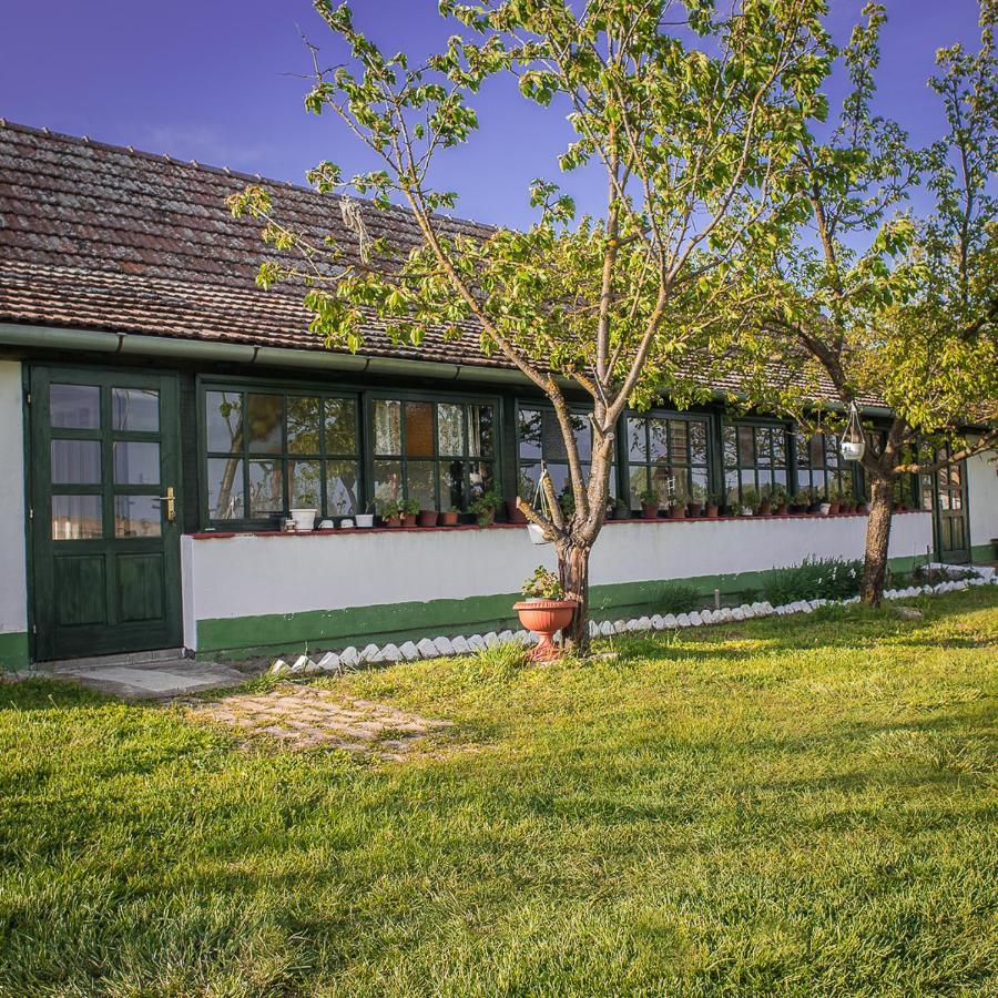 Etno Salas - Etno Ranch - Seosko Turisticko Domacinstvo Villa Palić Esterno foto