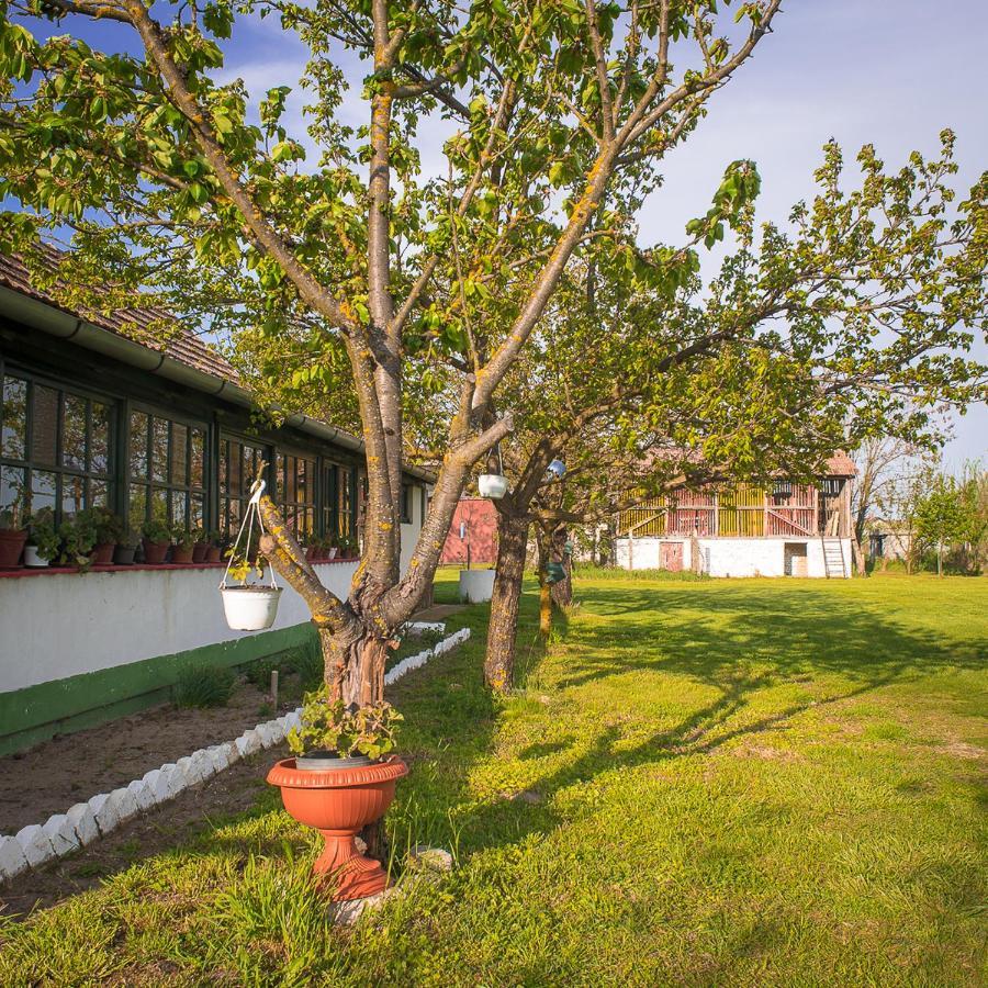 Etno Salas - Etno Ranch - Seosko Turisticko Domacinstvo Villa Palić Esterno foto