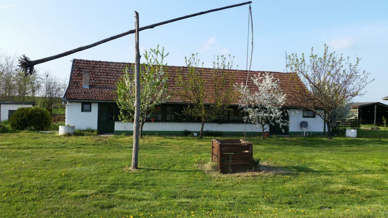 Etno Salas - Etno Ranch - Seosko Turisticko Domacinstvo Villa Palić Esterno foto